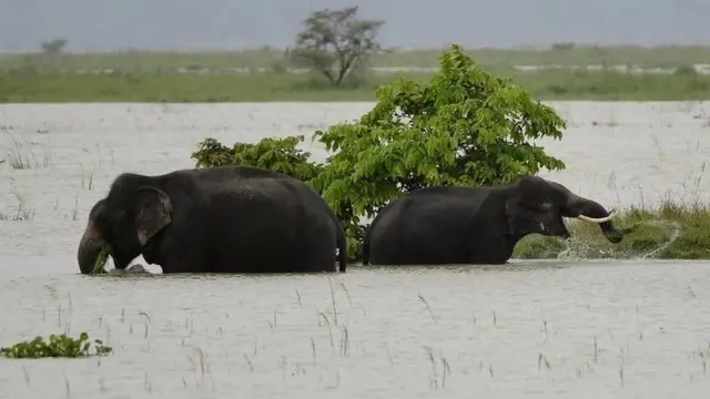 European Photopress Agency