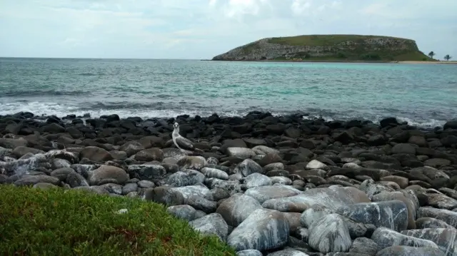 Abrolhos