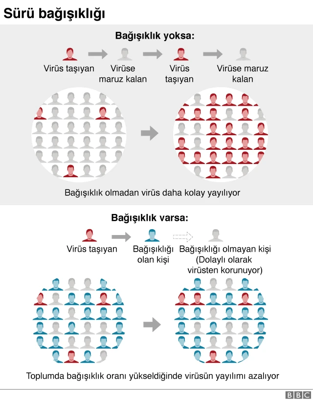 Sürü bağışıklığı