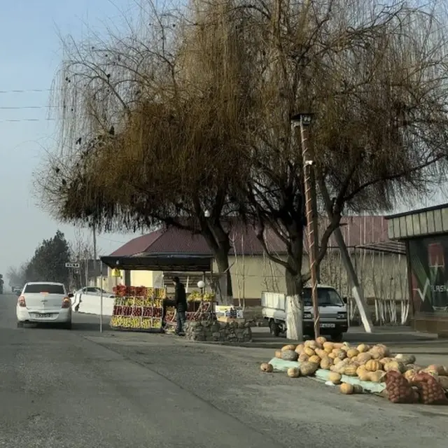 Мева сотувчи йигит