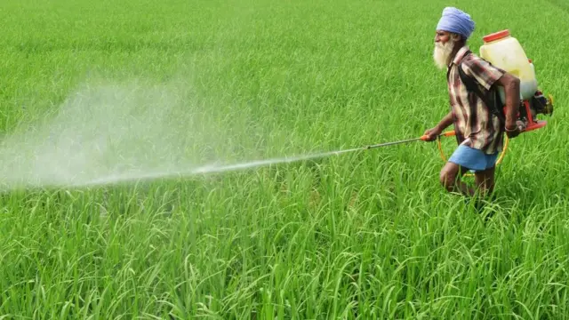 کیڑے مار ادویات کا سپرے