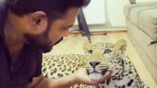 गिरीकुमार पाटील