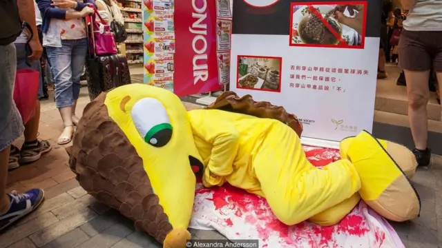 Conservationists attempt to raise awareness of the pangolin's plight on Hong Kong's streets
