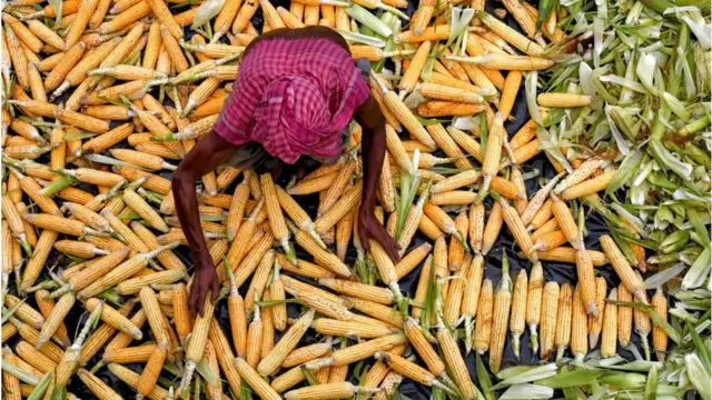 સત્તાનાં પ્રારંભિક વર્ષોમાં ડાબેરી સરકારે ગ્રામ્ય વિસ્તારના ખેડૂતોના કલ્યાણ માટે અનેક કાર્યો કર્યાં