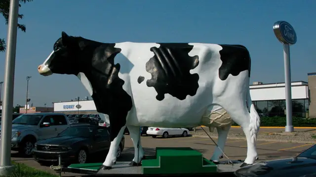 Корова - символ Міннесоти