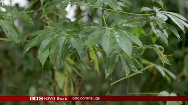 రెయిన్ మేకర్