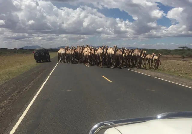 Imala gara Marsabiit