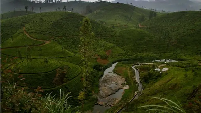 Human Rights - Sri Lanka