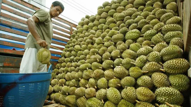 ทุเรียน