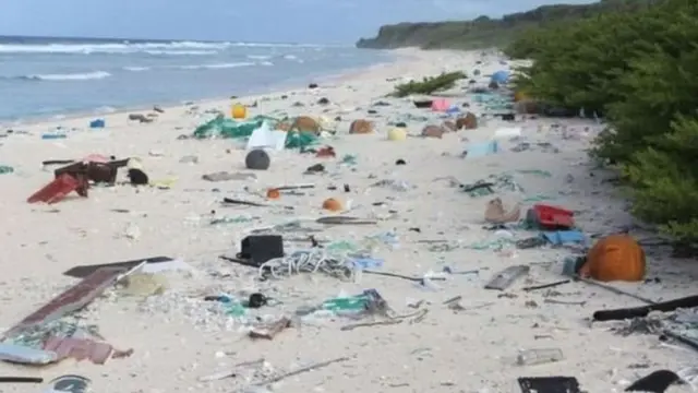 প্রকৃতি দূষণের প্রধান কারণ হয়ে দাঁড়িয়েছে প্লাস্টিক।