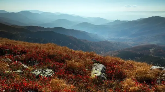 Un essai entre nos ancêtres des premiers humains modernes et les Néandertaliens aurait pu avoir lieu dans les montagnes des Carpates du Sud.
