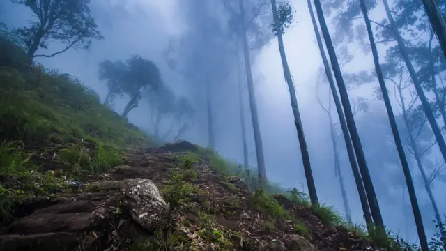 கொடைக்கானல்