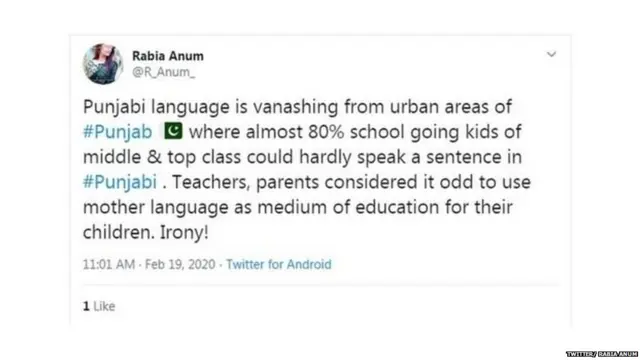 ਪੰਜਾਬੀ ਭਾਸ਼ਾ