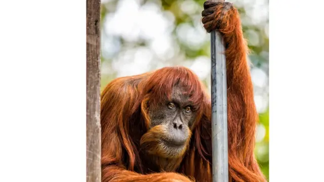 perth