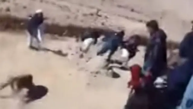 فراه