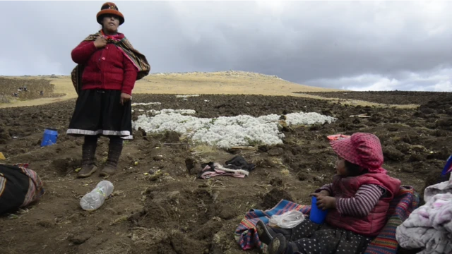 Mujer y niño en campo de papas.