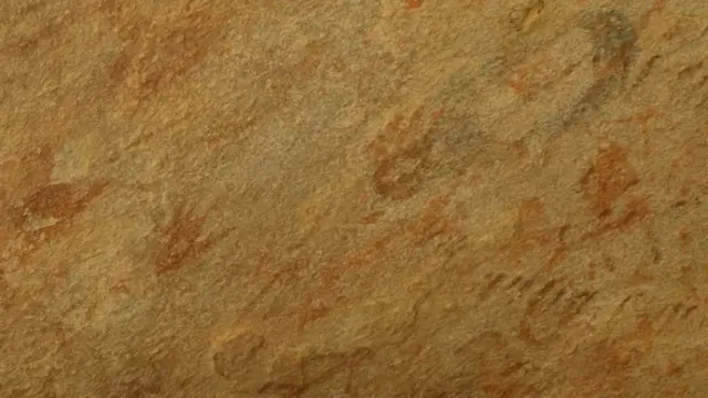 Сийпантошдаги бармоқ излари