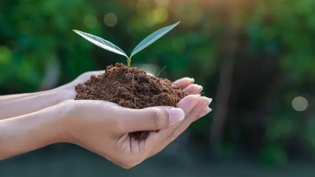 पर्यावरण, निसर्ग, हवामान बदल