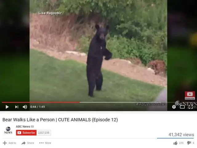 Vídeo de Pedals no YouTube