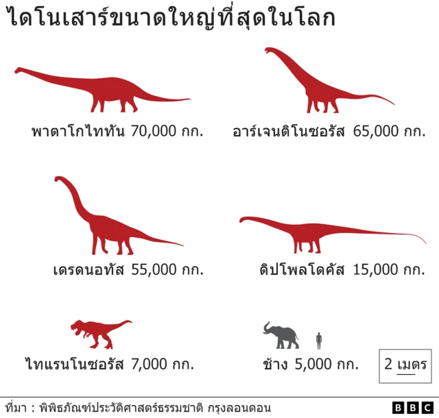 ไดโนเสาร์ขนาดใหญ่ที่สุดในโลก