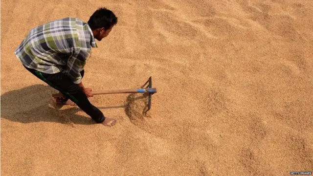 અનાજનું ભંડારણ જરૂરી