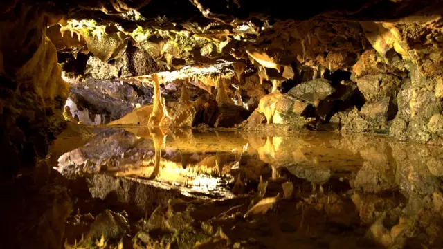 Причина смерти людей из пещеры Гофа неизвестна