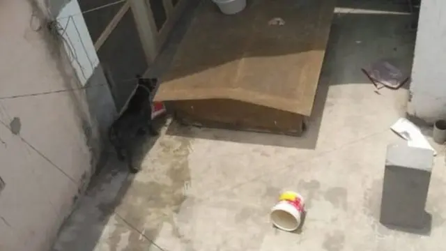 बुराड़ी मामला, अंधविश्वास, मनौविज्ञान