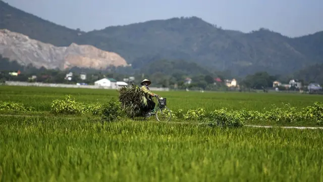 Việt Nam