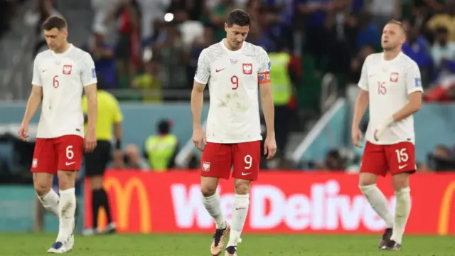 فرنسا وبولندا في كأس العالم