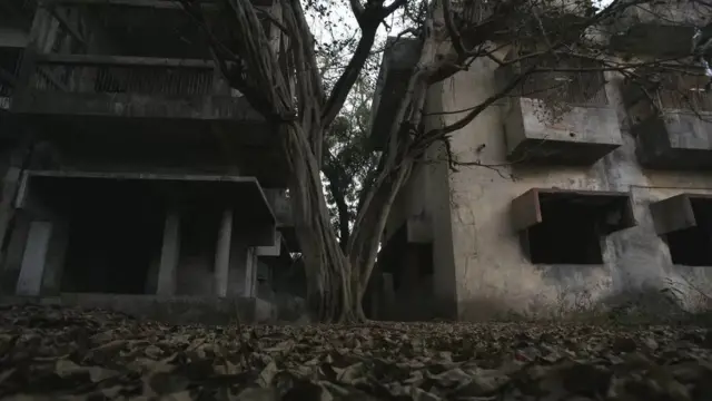 गुलमर्ग सोसाइटी