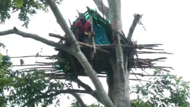 చెట్లపై ఏర్పాటు చేసిన తాత్కాలిక నివాసం