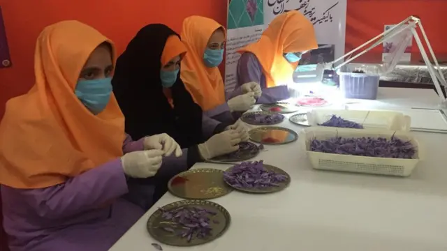 تصاویر جشنواره گل زعفران هرات