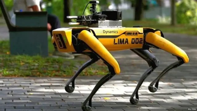 कोरोना व्हायरस