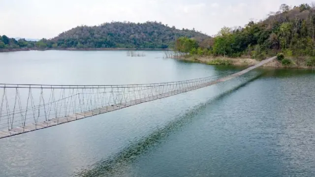Puente en el parque nacional