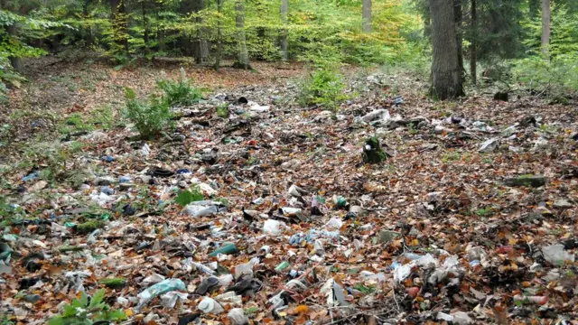 Polish forest garbage