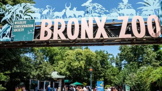 بعد 114 عاما اعتذرت حديقة حيوان برونكس التي عرض فيها بنغا في قفص القرود