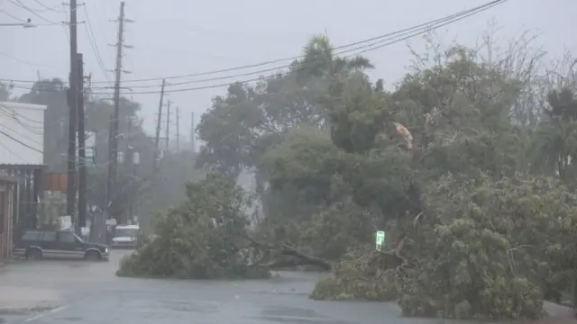 तूफ़ान इरमा