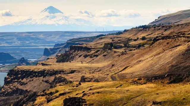 （图片来源：Zack Frank）