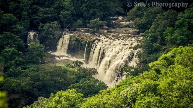 நீரும், நானும்: பிபிசி தமிழ் வாசகர்களின் புகைப்படத் தொகுப்பு