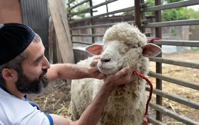 Курман айт 31-июлда болот