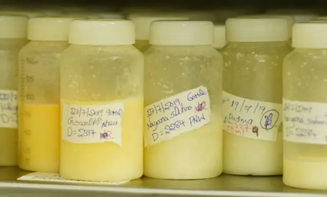 పాల డబ్బాలు