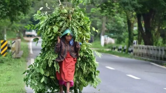 असम मिज़ोरम सीमा