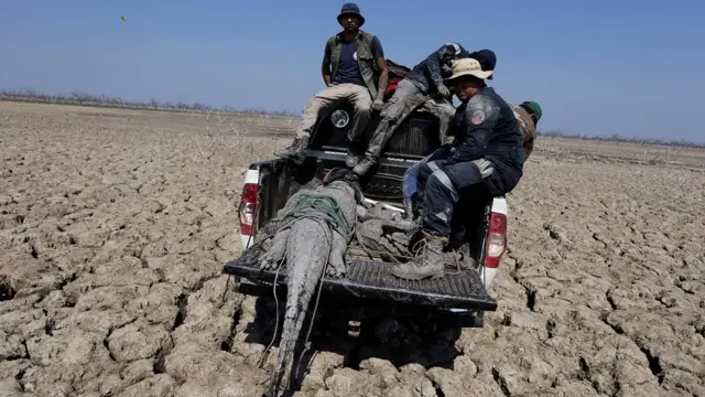 प्राग्वे में पिक्लोमेयो नदी के आस-पास पड़ा सूखा