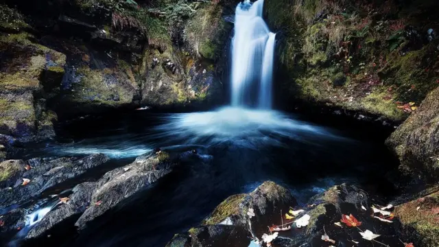 Pequeña cascada que cae hacia un pozo de aguas oscuras.