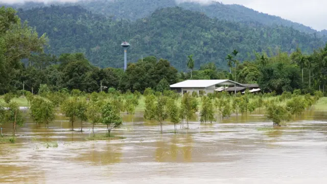 Tappanai Boonbandit/BBC thai