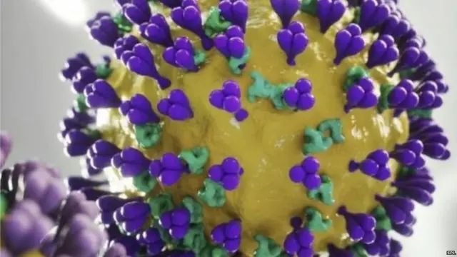 ਕੋਰੋਨਾਵਾਇਰਸ