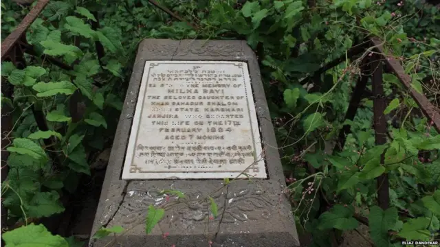 शलोम बापूजी