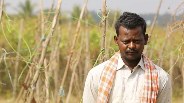 कर्जमाफी