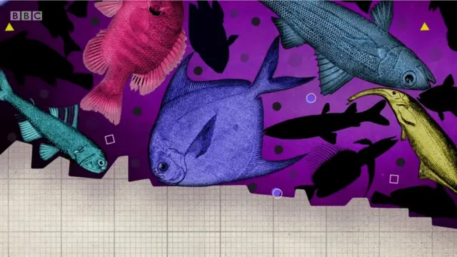 क्या होगा अगर धरती से समंदर का नामोनिशान मिट जाए