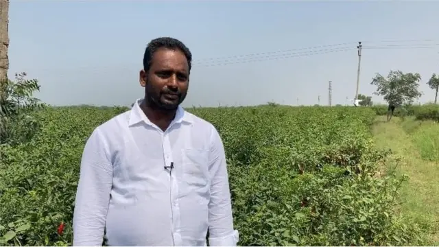 వైరస్ కారణంగా పంటను మధ్యలోనే పీకేయాల్సి వచ్చిందన్న రైతు లక్ష్మారెడ్డి